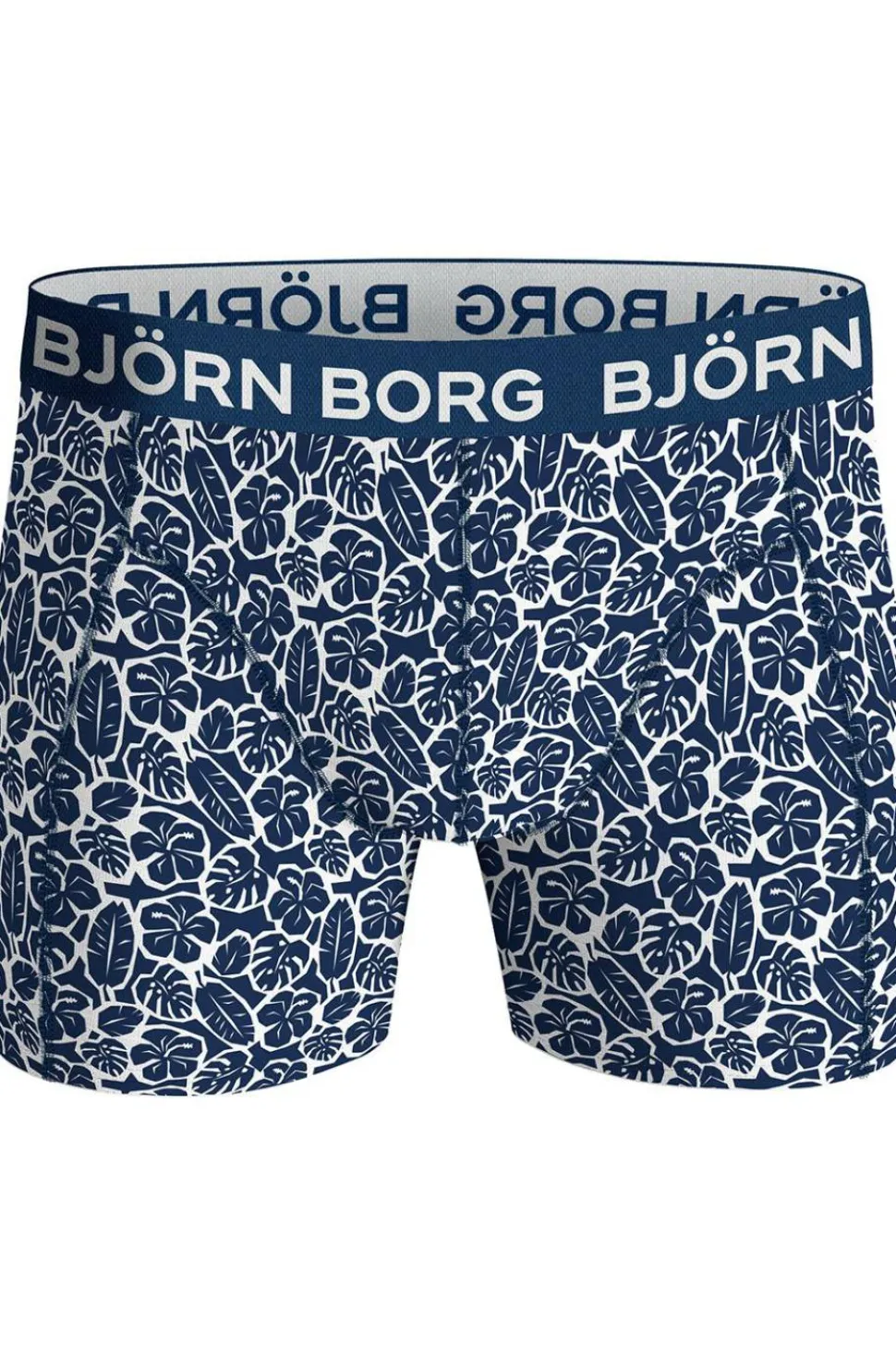 Bjorn borg