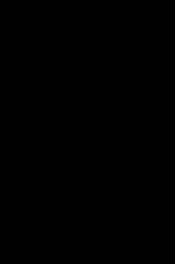 Desoto