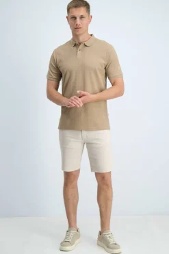 Gabbiano
