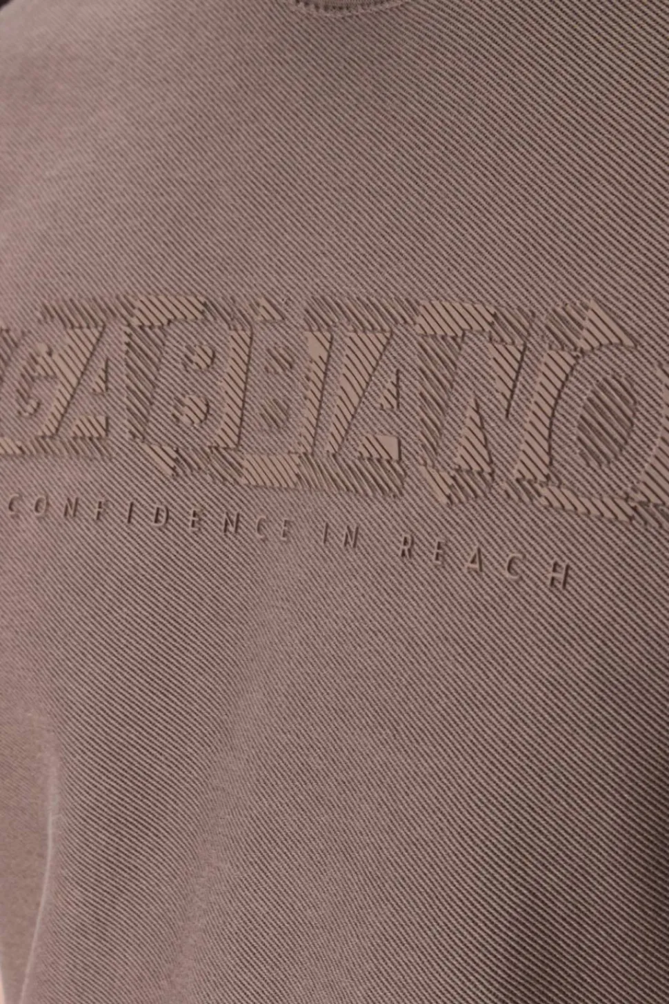 Gabbiano