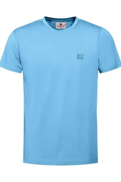 Gabbiano
