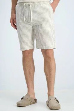 Gabbiano