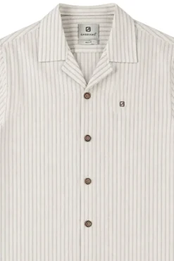 Gabbiano