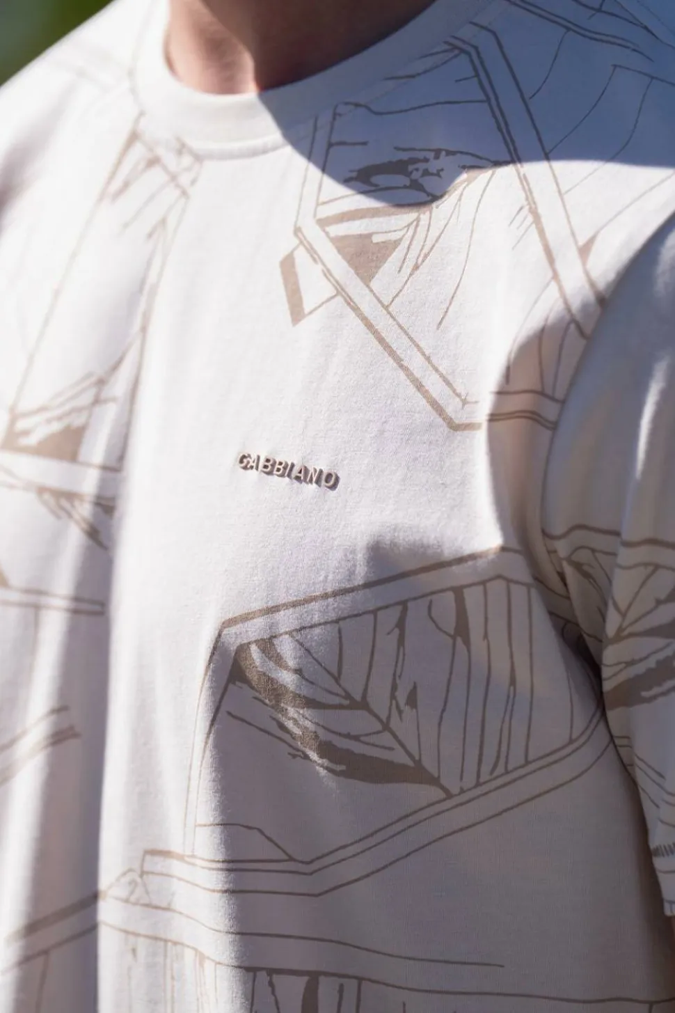 Gabbiano
