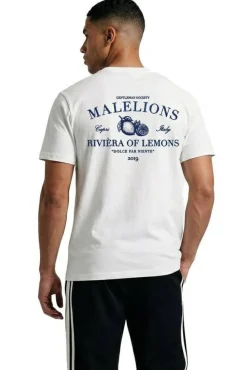 Malelions